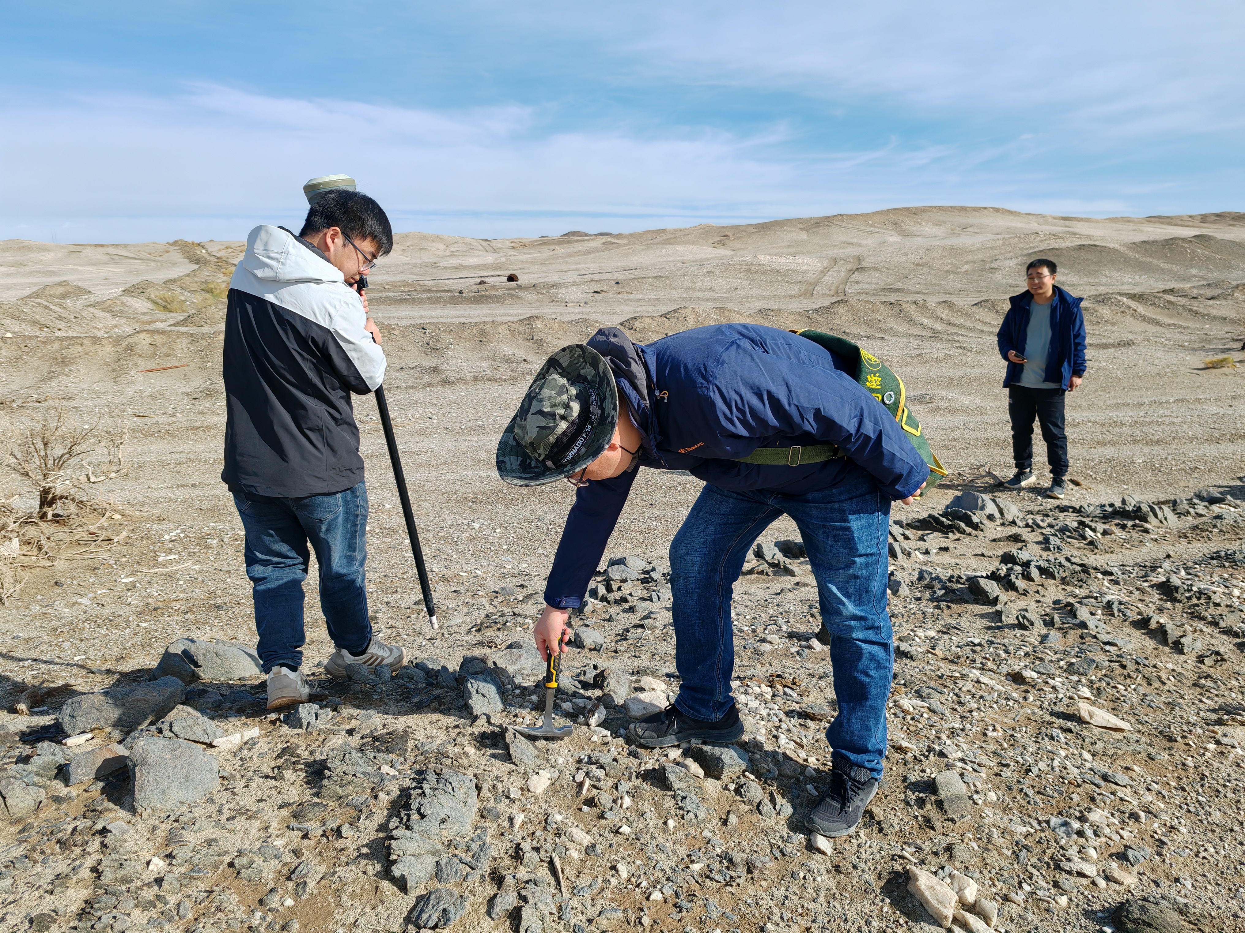 地表調查